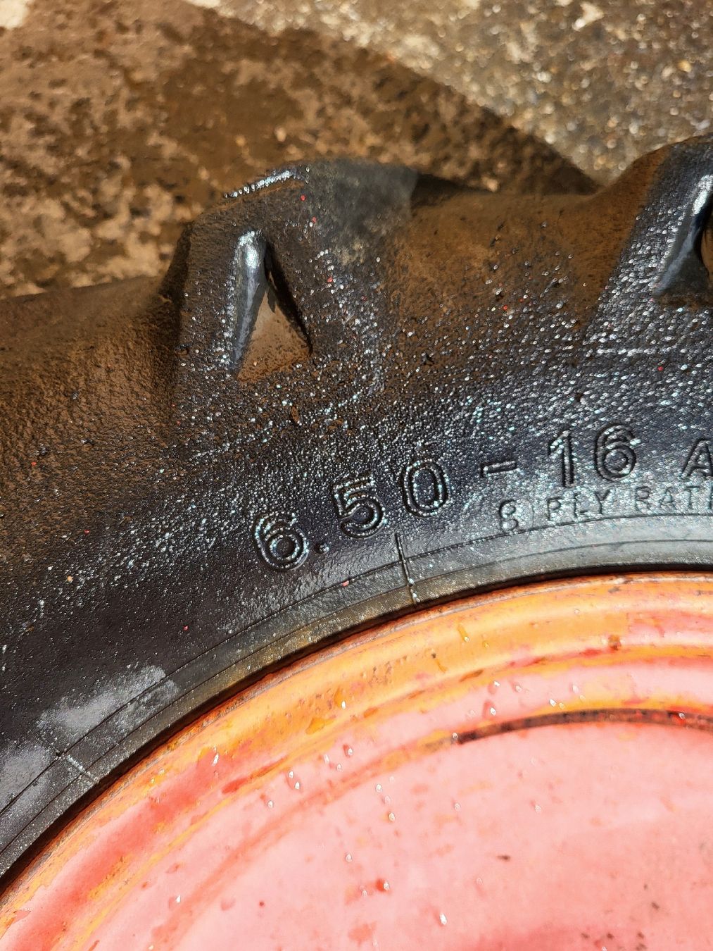 Felgen: Rapid Felgen /Räder  – Gebraucht aus malters von jouni 2