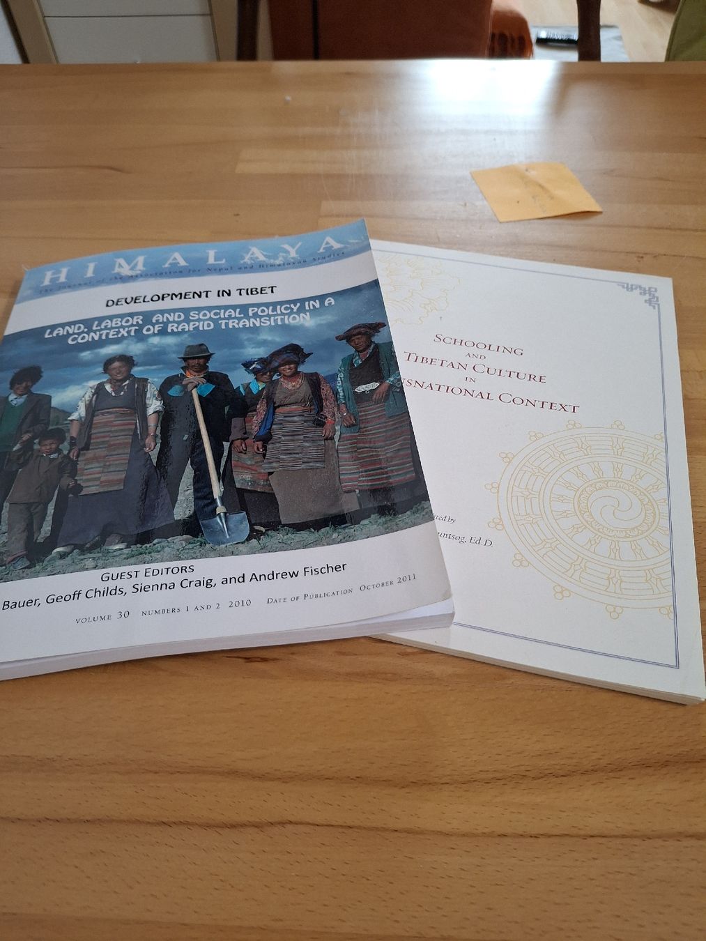 Libri: Fachliteratur zu Tibet – Usato da Zürich venduto da wildflower26 5
