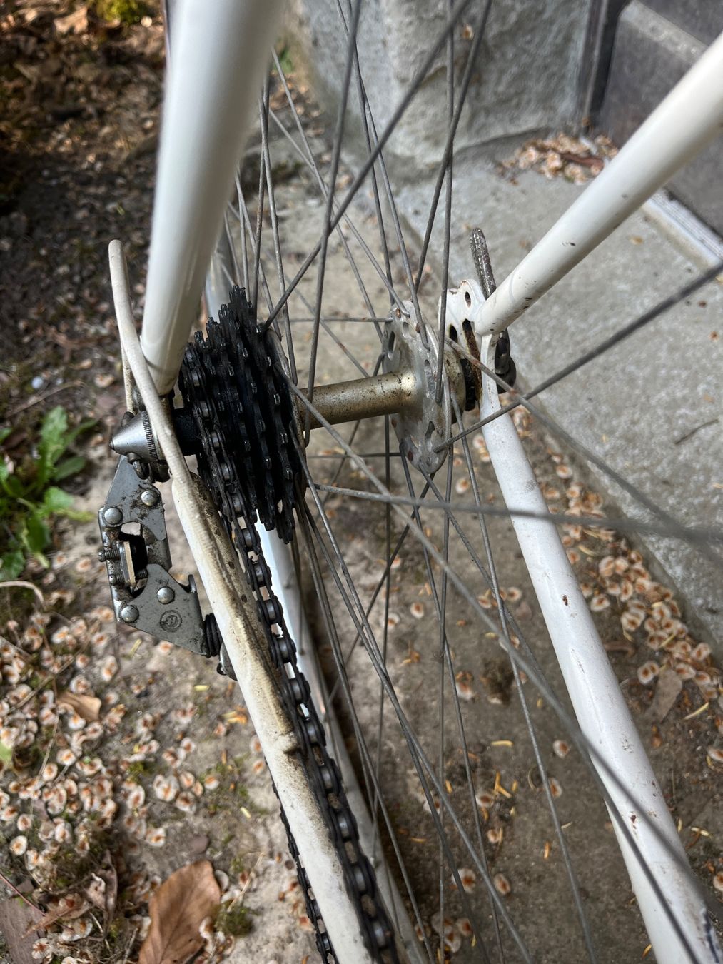 Velos: Vélo vintage Eddy Merckx – Gebraucht aus Lausanne von lae_c5zc 4
