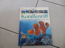 Korallenriff: Tag und Nacht - spannendes Kinderbuch