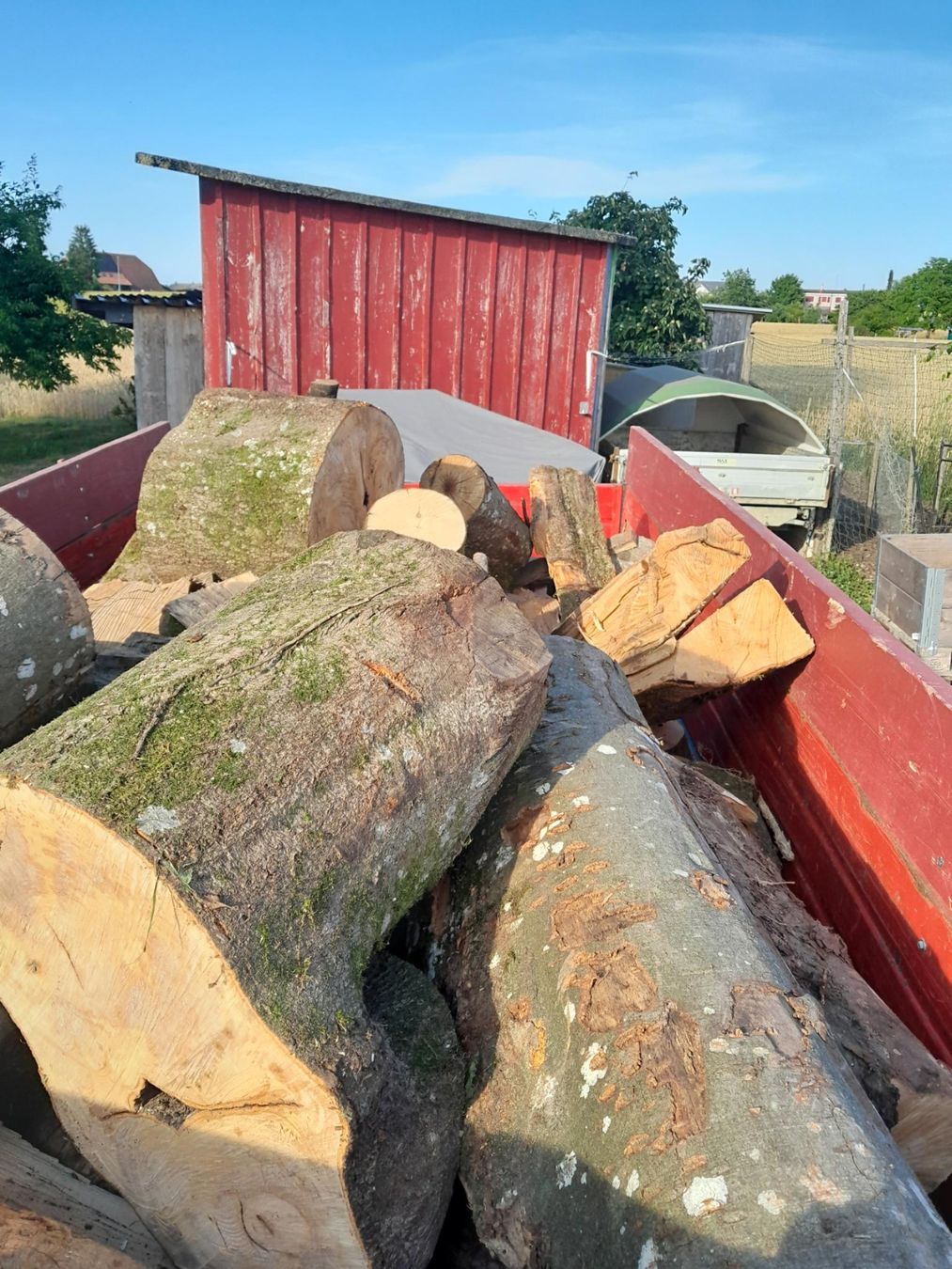 Articles en bois: Brennholz Buche ab 1.- – D'occasion à Inkwil par karlheinz07