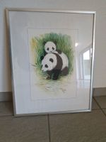 Bild Panda Bär mit Baby