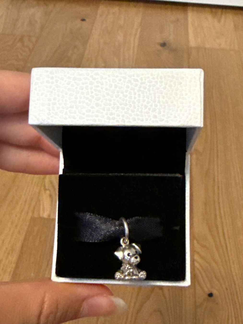 Pandora Anhänger: NEU! Pandora Charm - Labrador Dog – Neu und originalverpackt aus Schönenwerd von d.chiara