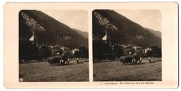 Stereo-Fotografie Interlaken, Bauenr fah
