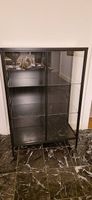 IKEA Rudsta Vitrine 
