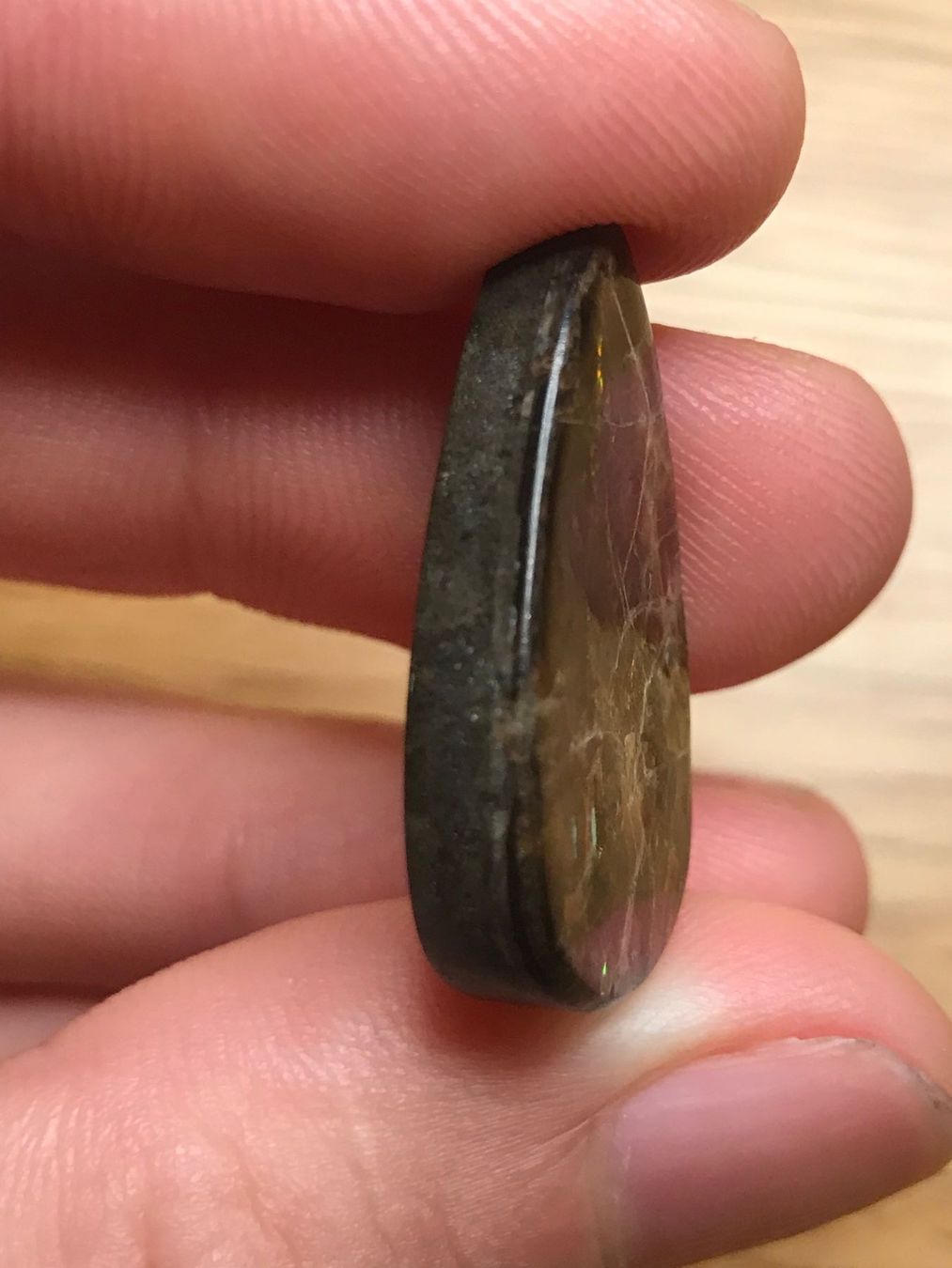Fossilien: Ammolith Triplet Cabochon, 25 Karat, Kanada – Neu (gemäss Beschreibung) aus Biel von djvalbnc 2