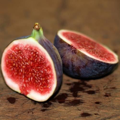 Pflanzen & Samen: Figuier rustique 2x Violette de Sollies – Neu (gemäss Beschreibung) aus Bremblens von FIBONACCI369