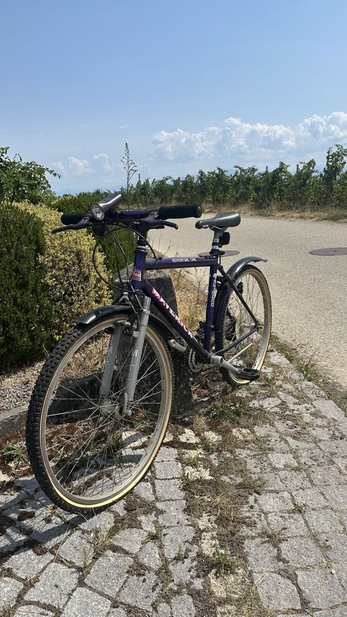 Shimano Biciclette: Velo Maverick Shimano – Usato da Bougy-Villars venduto da ybaum 3