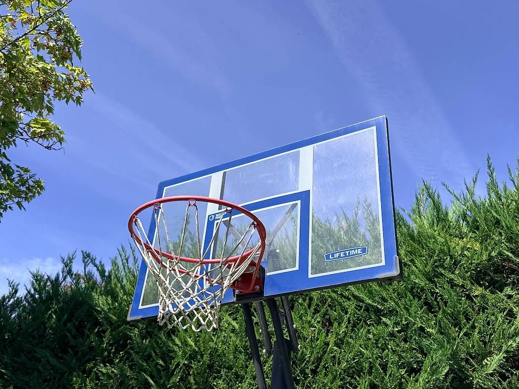 Giochi: Basket Lifetime – Usato da Genève venduto da CARLO2314