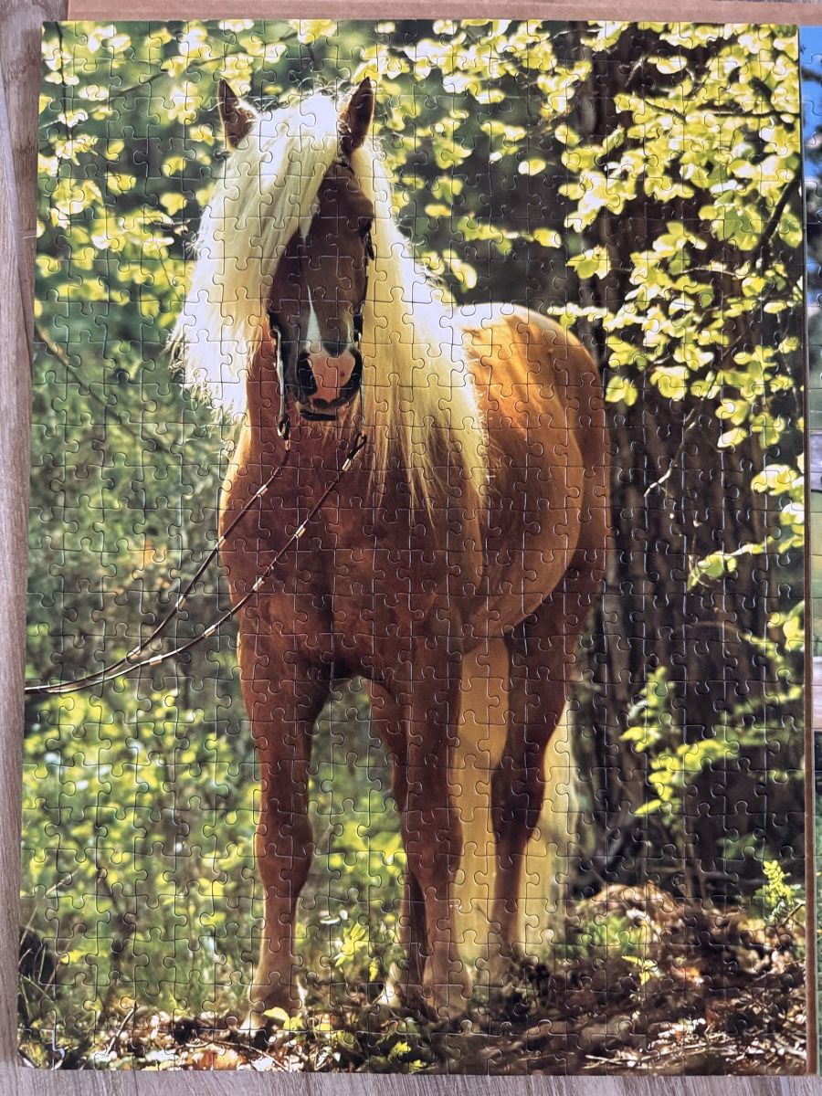 Ravensburger Puzzles: Ravensburger Puzzle, 500 Teile, komplett – Gebraucht aus Stadel von nicibaer08