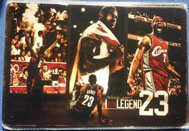 NEU: Basketball Lebron James Blechschild