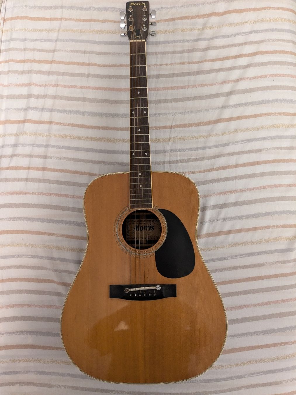 Vintage Strumenti musicali: Gitarre Morris W604 – Nuovo (secondo la descrizione) da Steffisburg venduto da dik_8w5b