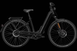 NEU FLYER 45KM/H | 95NM & 750WH FIT PANASONIC