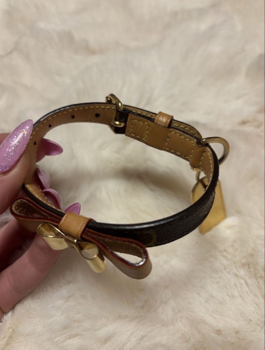 Louis Vuitton Baxter Hundehalsband (Gebraucht) in Thal fr CHF 76  mit  Lieferung auf Ricardo kaufen