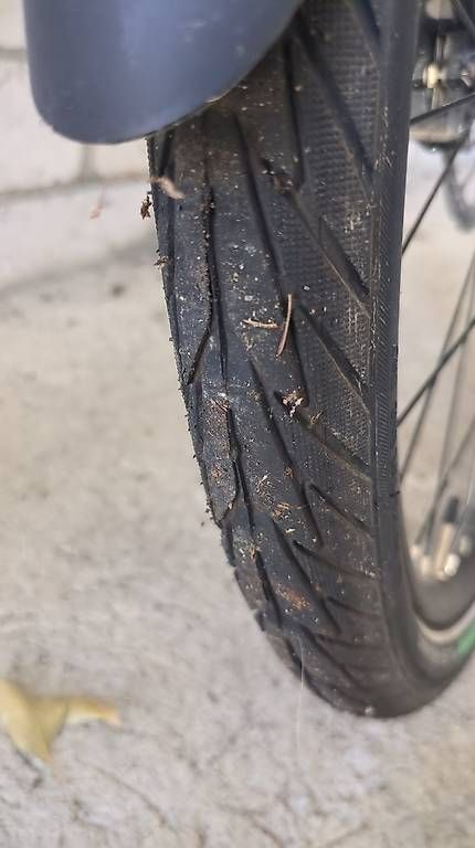 Velos: Triump Trekker GT – Neu (gemäss Beschreibung) aus Zofingen von som_p2yx 4