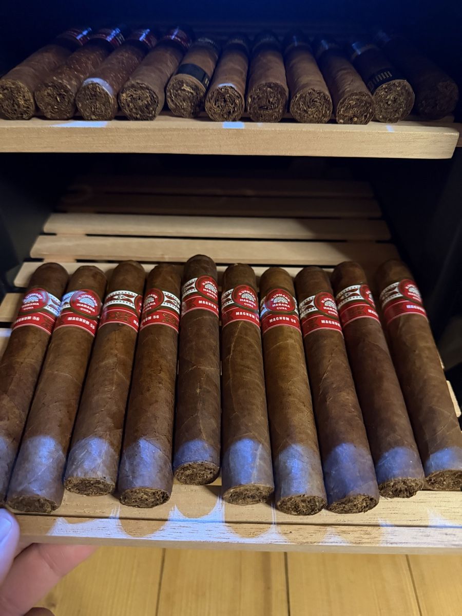 Cohiba Zigarren: Assorted Cuban Cigars Cohiba and H. Upmann  Selection – Neu (gemäss Beschreibung) aus Winterthur von 199_n8ms 1