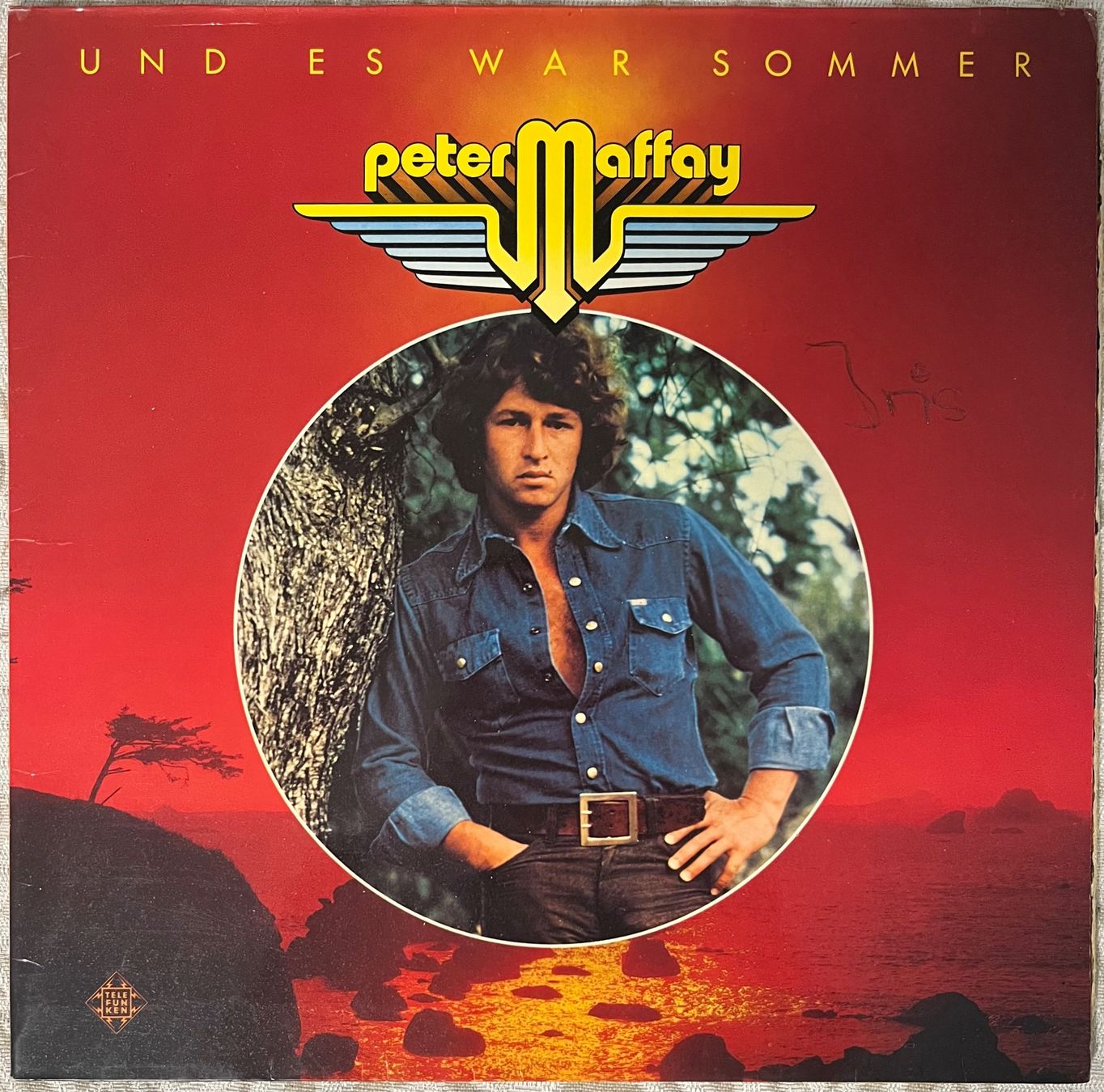 Dischi in vinile: Peter Maffay – Und es war Sommer – Usato da Döttingen venduto da zha_xh2w