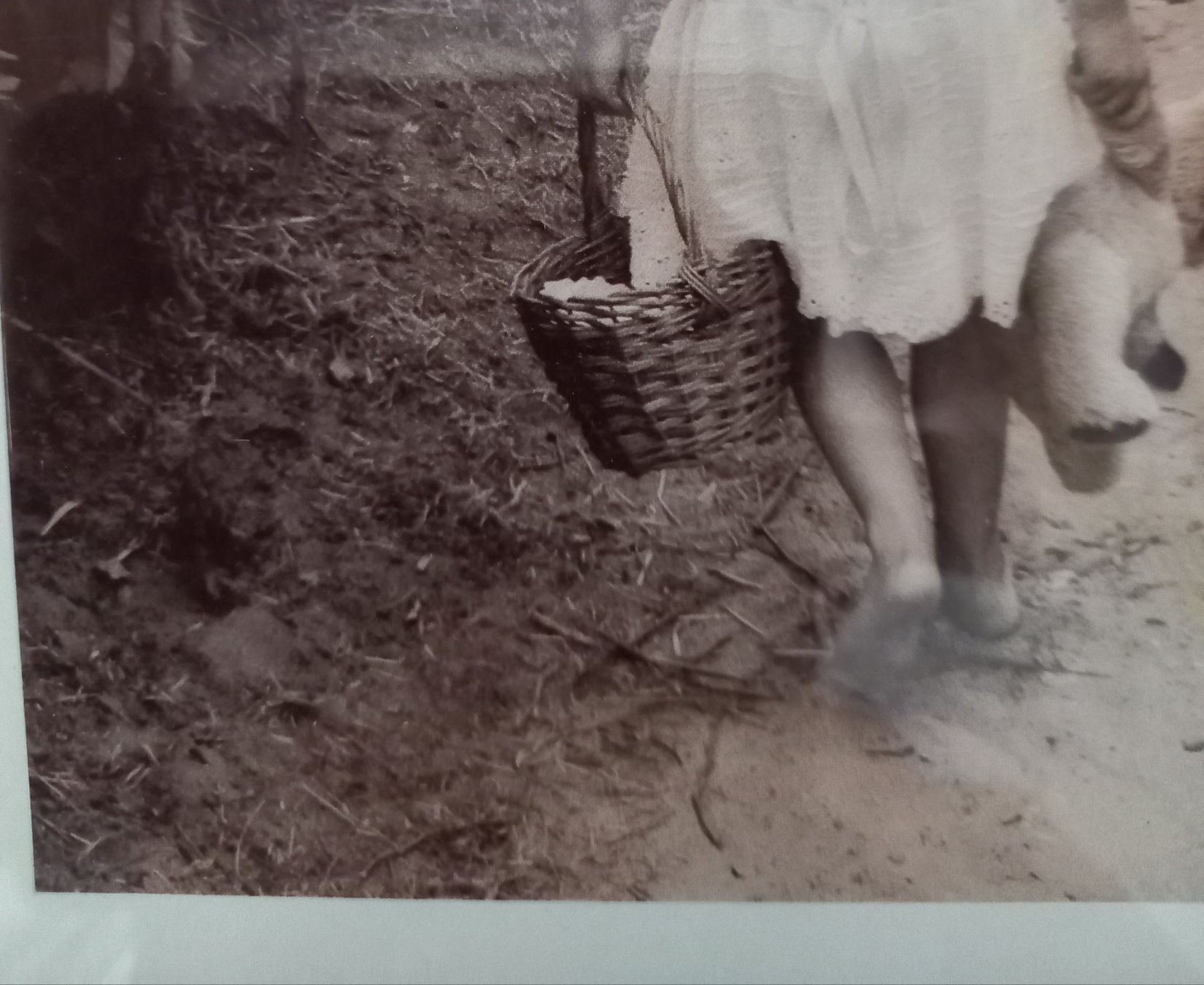 Foto & Immagini: Print von CAROLINE ARBER – Nuovo (secondo la descrizione) da Binningen venduto da mar_2jlr 8