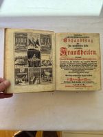 Abhandlung über Krankheiten 1735