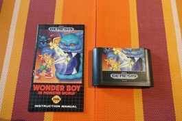 Wonder Boy in Monster Land