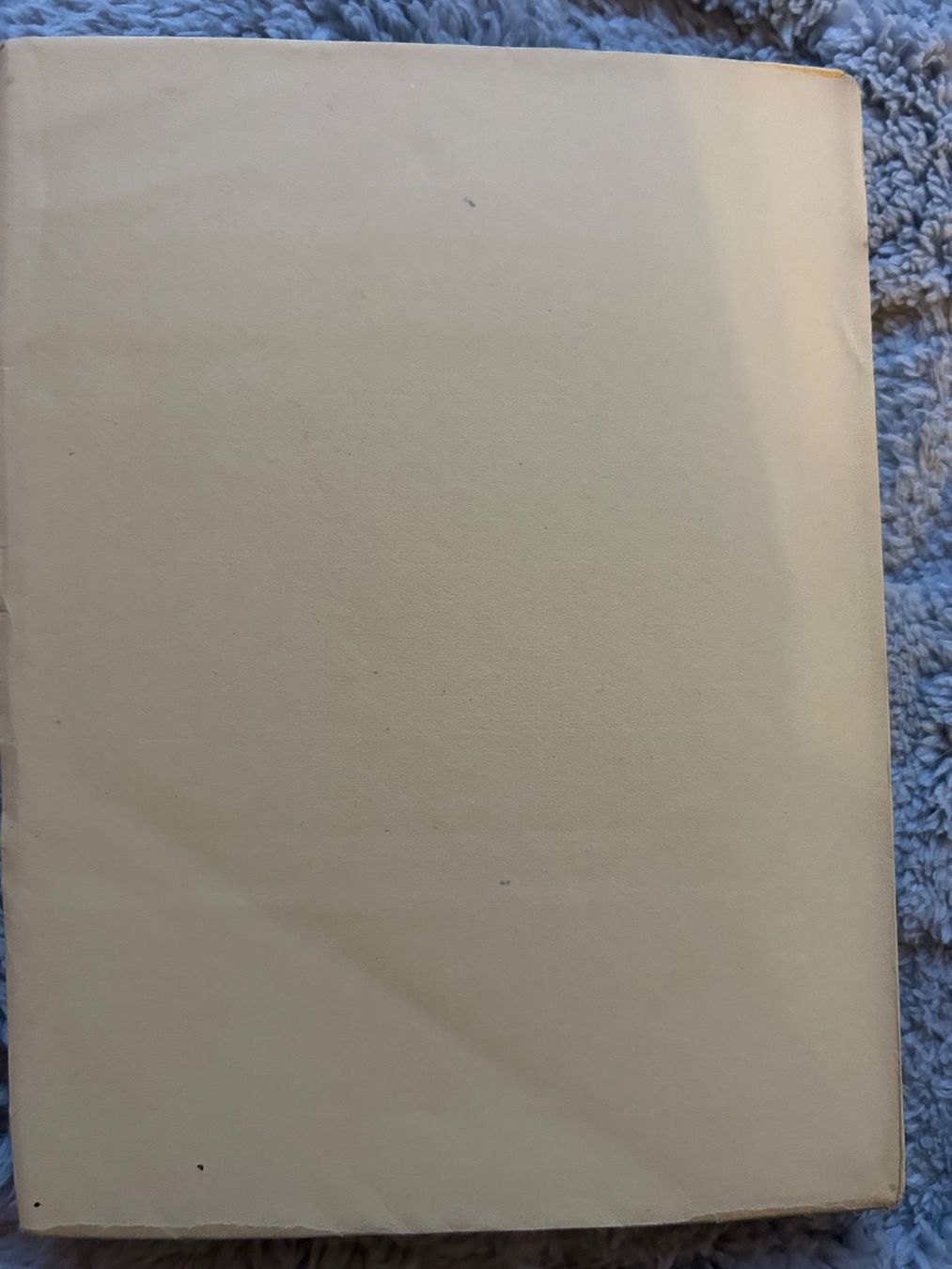 Libri: FRAGMENTS D'UN JOURNAL DE VACANCES – Usato da Genève venduto da zonzon9351 4