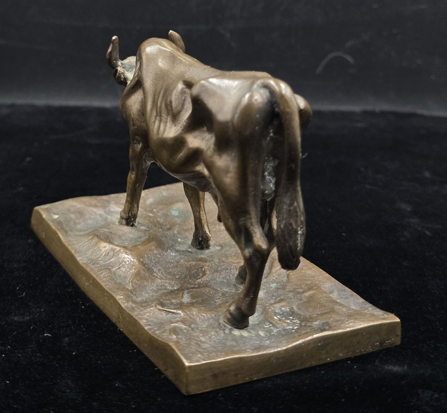 Sculture & Statue: Bronze Skulptur Stier – Usato da Rorschacherberg venduto da snOOpydOg11 5