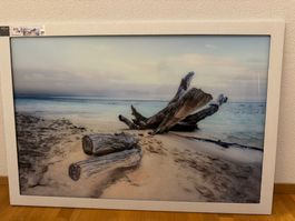 Monée Bild in Glas