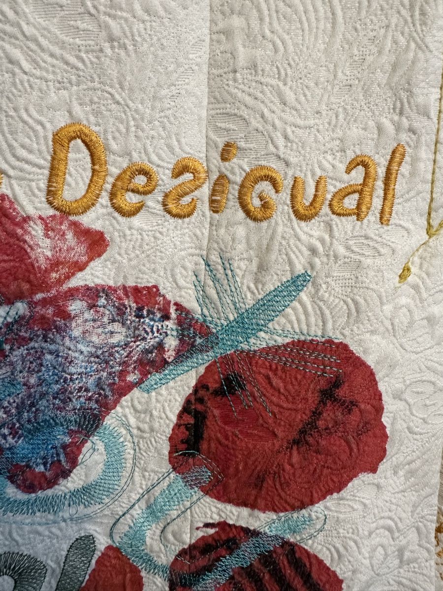 Desigual Giacche: Desigual – Usato da Bern venduto da Maria003 3