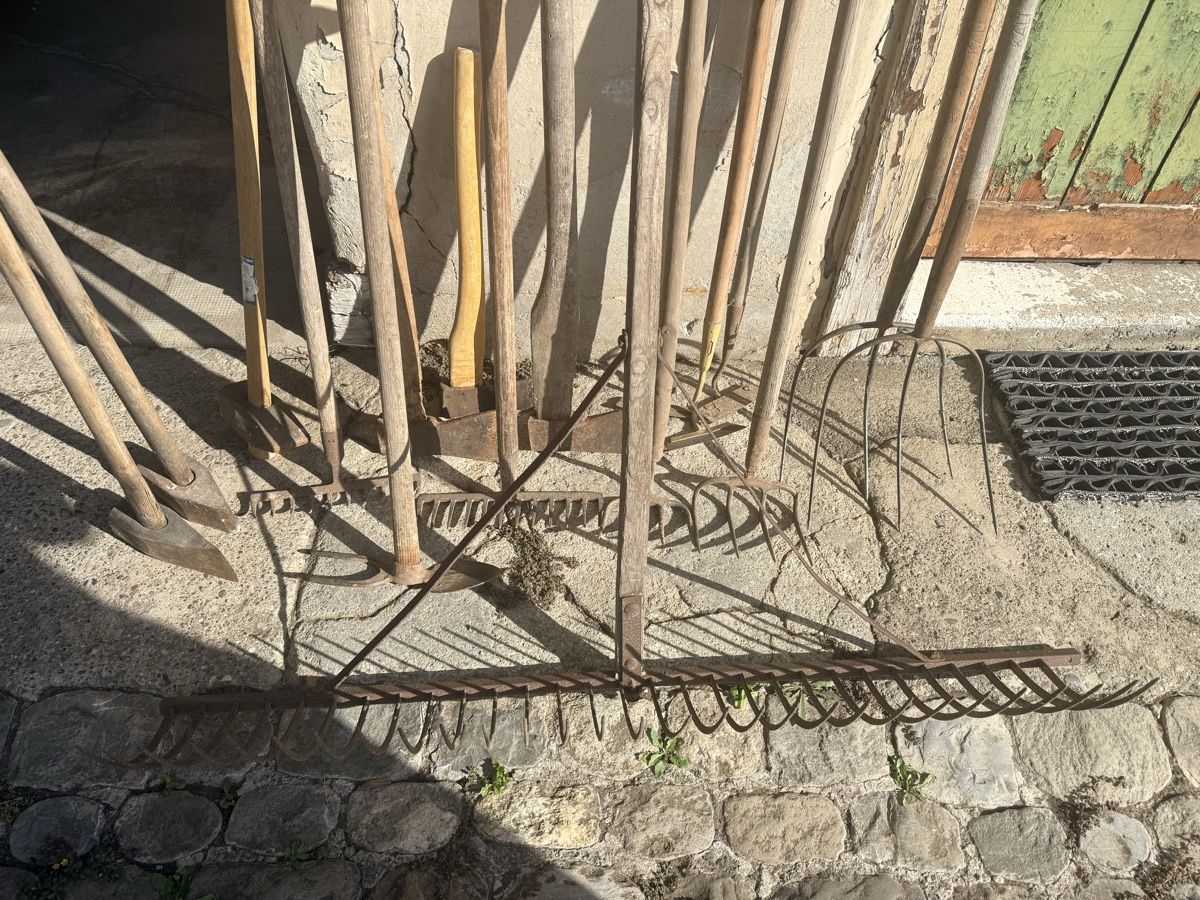 Tutti gli attrezzi: Gartenwerkzeug  – Usato da Schafisheim venduto da Flawiia 1
