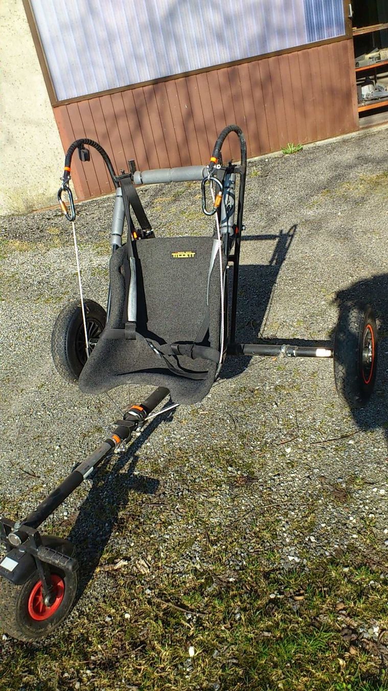 Autre: Mororschirmtrike Roll - Flight – D'occasion à Seengen par Foxromeo 4
