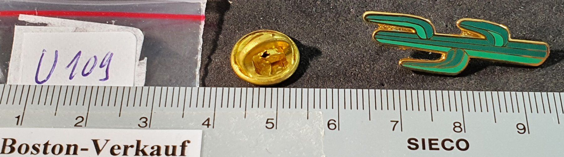 Plantes & graines: U109 - Pin Kaktus – D'occasion à Reinach BL par Boston-Verkauf 2
