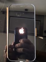 Apple iPhone 12 Pro Max 256 GB – Pazifikblau
