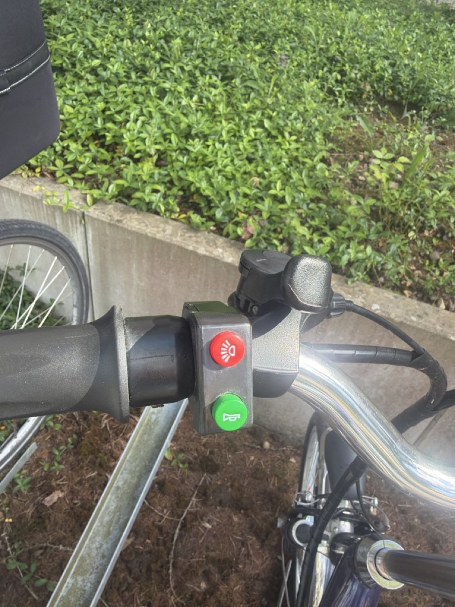 Biciclette: Praktisches E-Dreirad mit grossem Korb – Usato da Zürich venduto da Blume1103 2