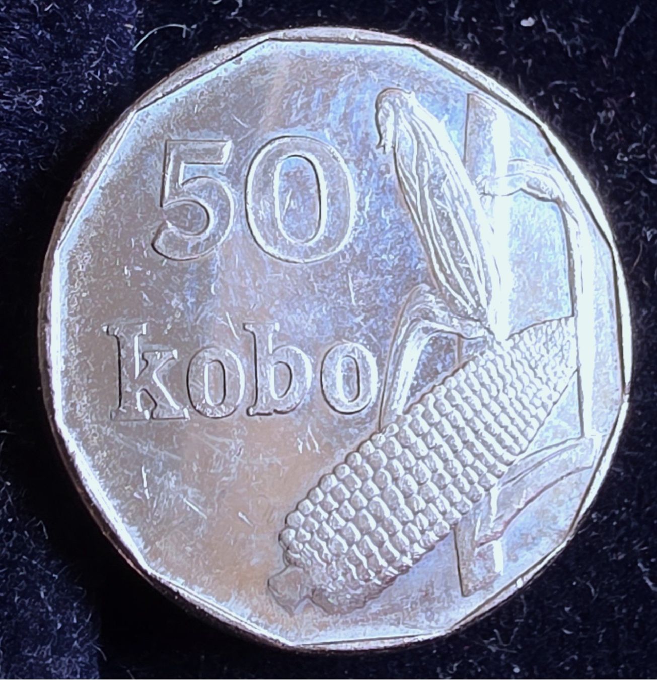 Alle Münzen: NIGERIA 50 KOBO 2006 – Neu (gemäss Beschreibung) aus winterthur von CoinPassion