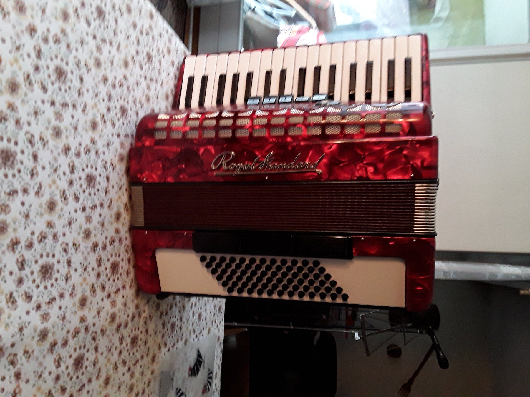 Strumenti musicali: Piano Accordian – Usato da BRUETTEN venduto da RAJKUMAR02