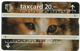 Taxcard P-55 (S055.b) 625C Katze gebraucht