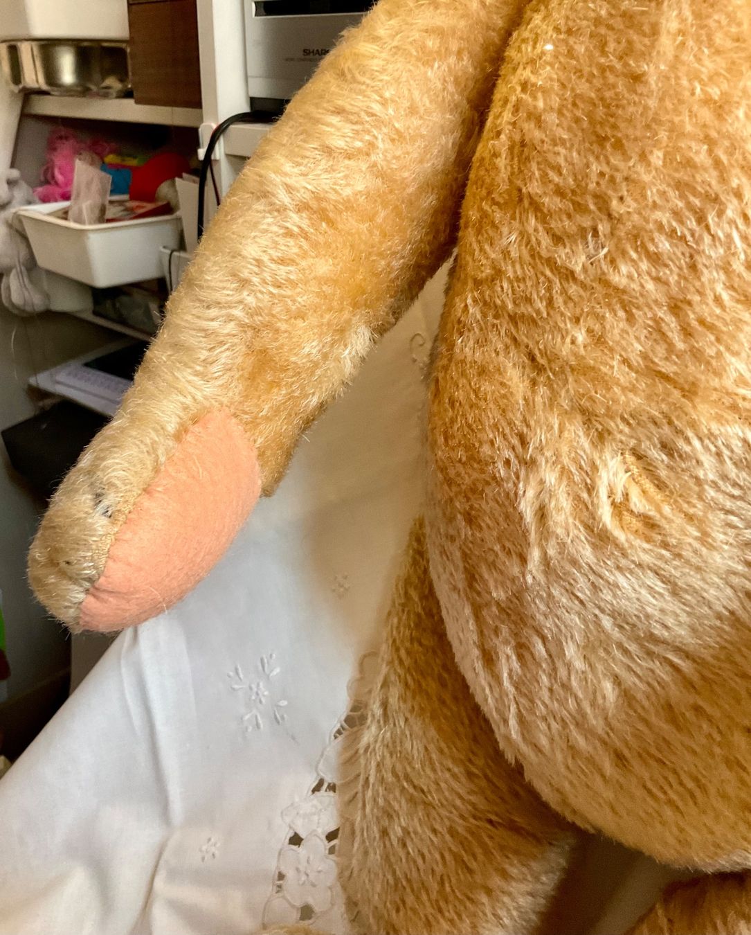 Teddy Hermann Jouets: Teddy Bär – D'occasion à Herisau par eri_2tb5 3