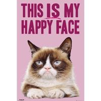 Poster Happy Face Katze