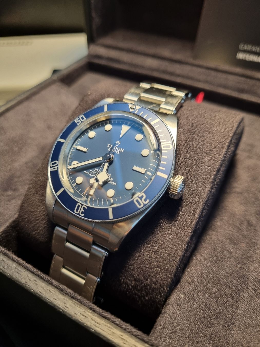 Tudor Orologi: Tudor black Bay Bleue – Usato da CHAMBESY venduto da HDS_Geneve 2