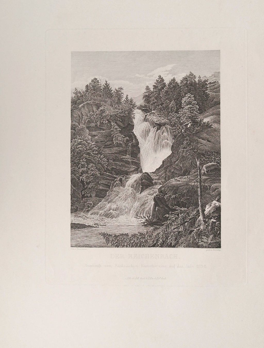 Incisioni: Reichenbach Radierung von Spaarmann 1832 – Usato da Rafz venduto da Helvet32 1
