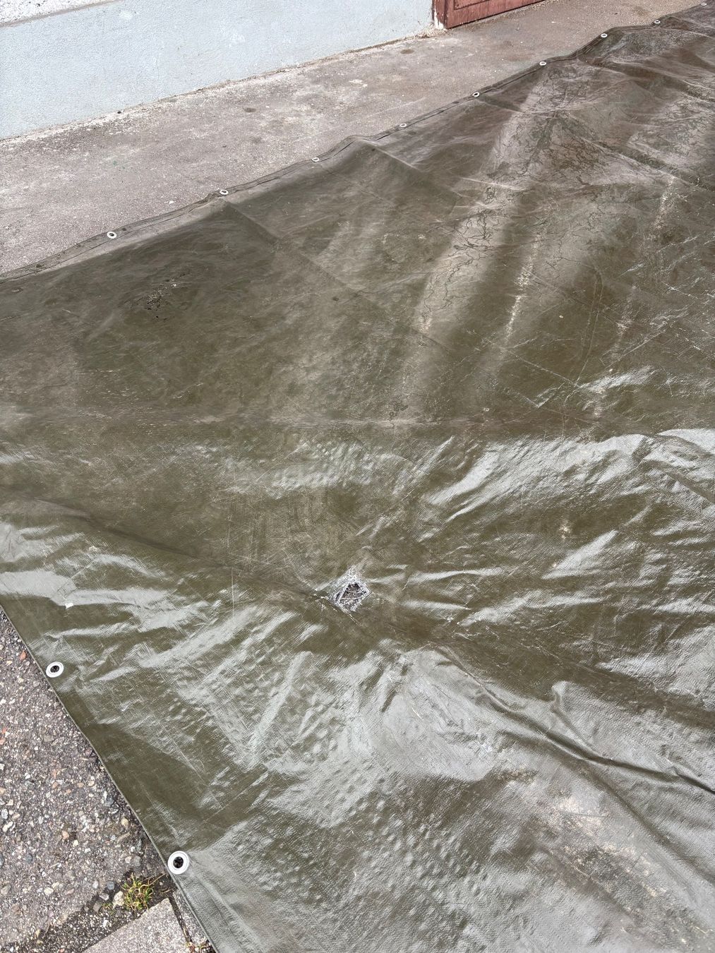 Altro: Blache Olive Grün – Usato da Sennhof venduto da joel.c 3