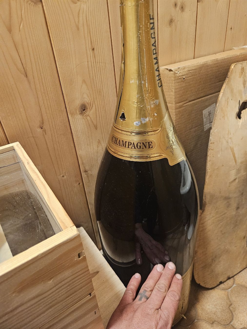 Bottiglie: champagne 2 flasche 20 l + 20 l – Nuovo (secondo la descrizione) da Zweisimmen venduto da gio_67mq 1