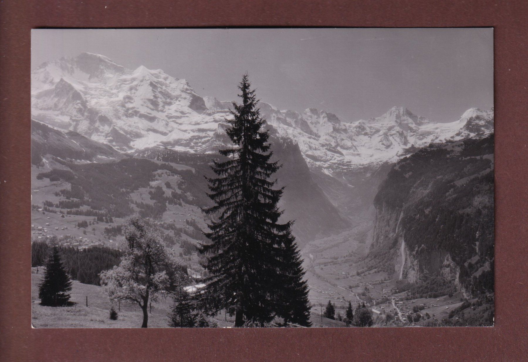 Ansichtskarten: WENGEN - Panorama – Gebraucht aus Pully von nicecards-shop