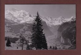 WENGEN - Panorama