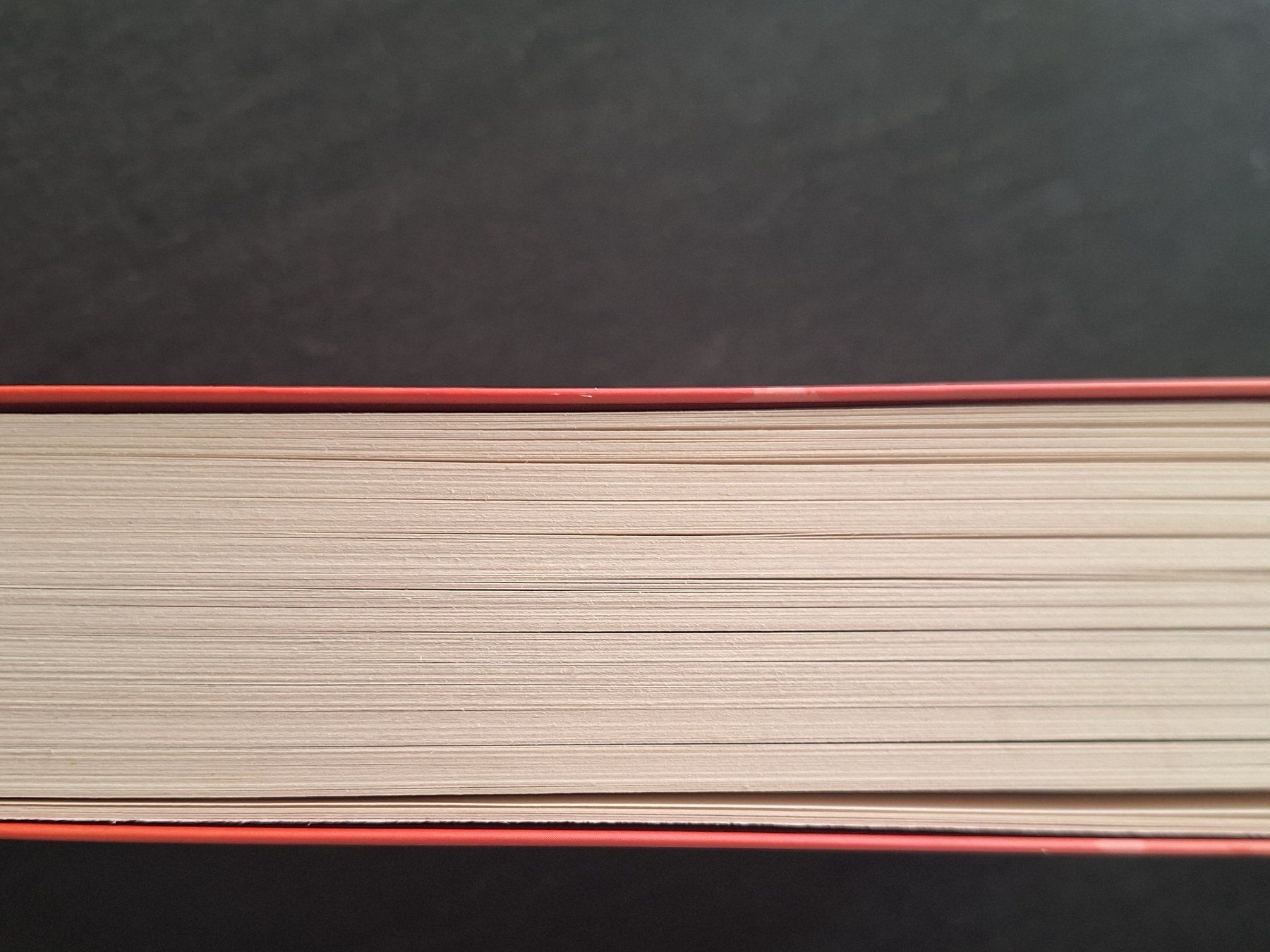 Libri: The Pumpkin Spice Latte Disaster – Usato da Schübelbach venduto da rab02 4
