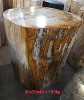 Tisch Fossil Beistelltisch Hocker Säule Versteinertes Holz