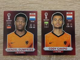 Netherlands Fifa World Cup Qatar 2022