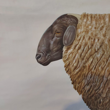 Profile image of Rasenmaeeher