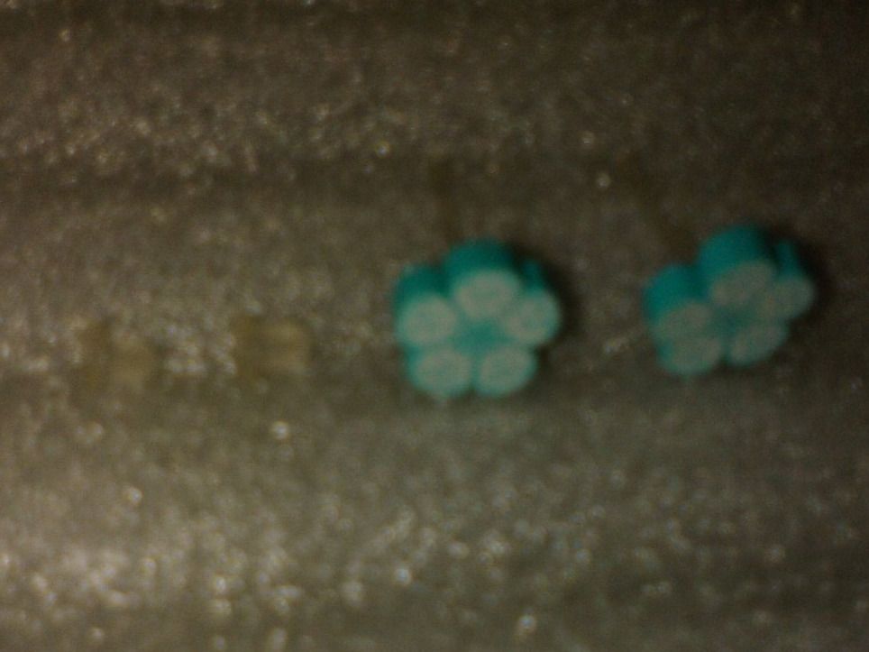Ohrringe & -stecker: OHRRINGE MODESCHMUCK,,,2 BLUMEN,,,MATTE – Neu (gemäss Beschreibung) aus Basel von bijoutrie_4