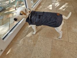 Hundejacke Regenmantel mit Fleece-Inlet Gr. S